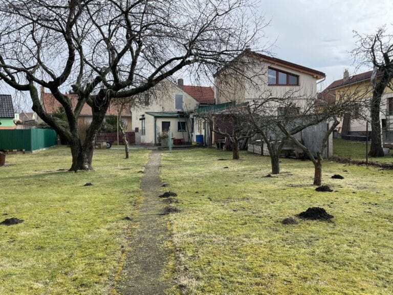 c1372b00-bc12-44e8-adcd-26bc60ddbd39